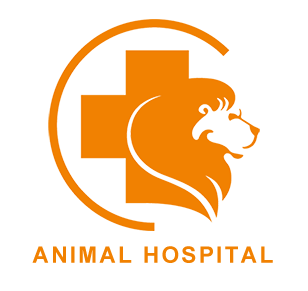 鳥取県米子市のレオ動物病院